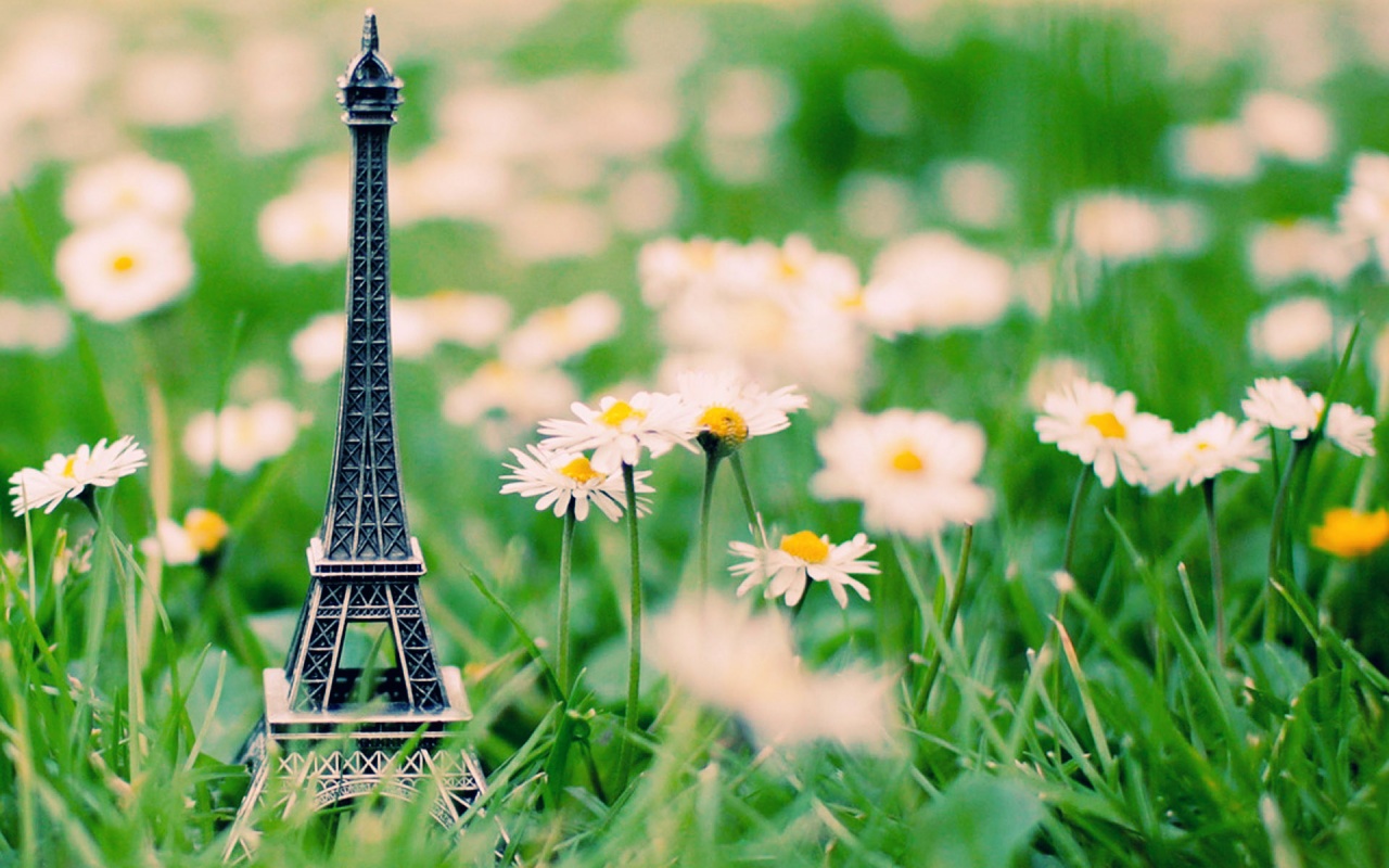 Un sogno romantico chiamato Parigi